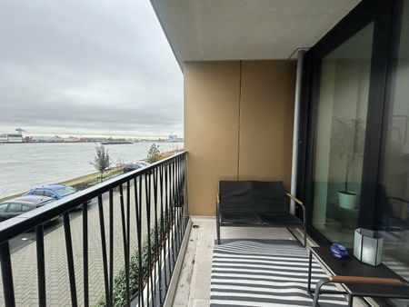 Pampuskade - Photo 5