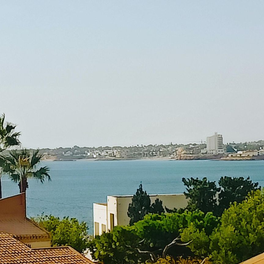 Apartamento de alquiler en Punta Prima - Photo 1