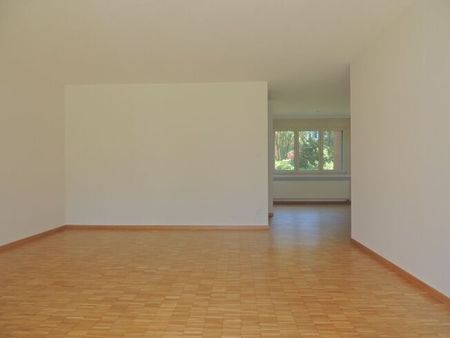 LOCATION SANS ACOMPTE - Bel appartement à Pfäffikon - Photo 4