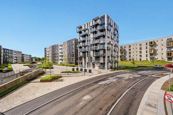 Velindrettet 3-værelses med god altan - Foto 1