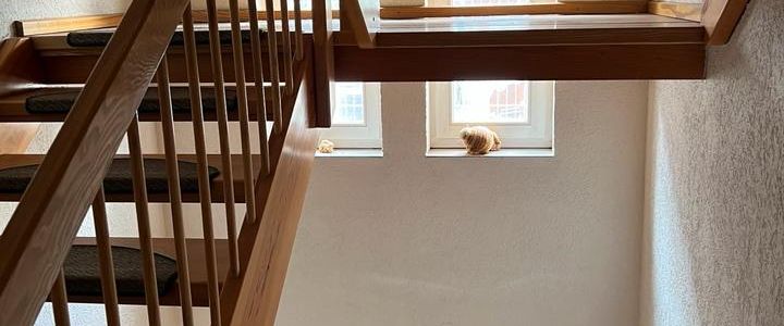 Wohnung im Lahn-Dill Bergland - Foto 1
