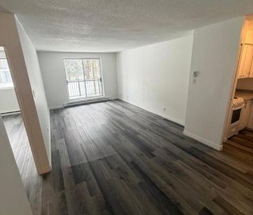 2 CH - 1 SDB - Gatineau - $1,699 /mo - Photo 4