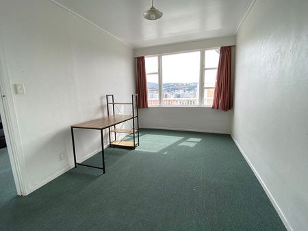 Sunny 4 bedroom apartment in Mt Vic - Photo 2