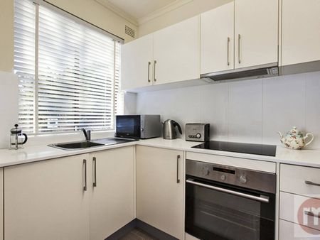 4/96 Macauley Street, Leichhardt NSW 2040 - Apartment For Rent | Domain - Photo 3