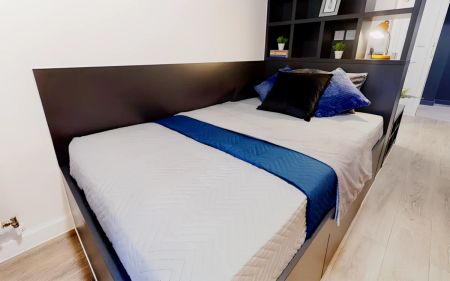 Bronze Studio Plus - Photo 3