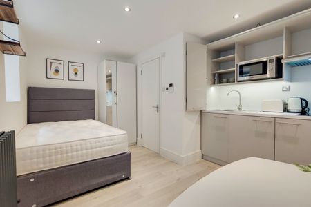 Studio Flat, Gloucester Place, NW1 - Photo 5