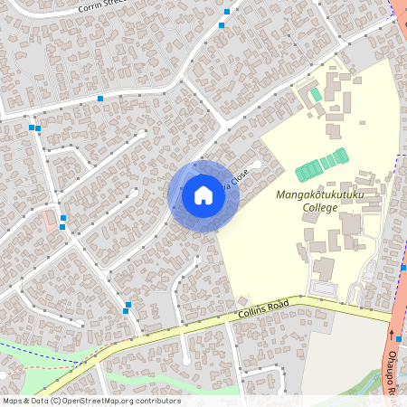 6 Grevillea Place, Melville, Hamilton City