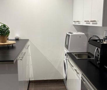 Location longue durée (12 mois) : Studio quartier Valrose - Photo 1