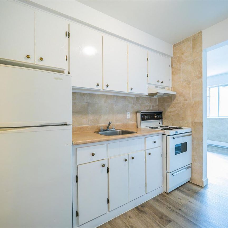 Studio 1 Bath - 1440 Boulevard Henri-Bourassa Est, Montréal - Photo 1
