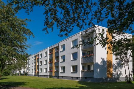 Wird exklusiv modernisiert: Erdgeschoss-Wohnung in Detmerode - Photo 2