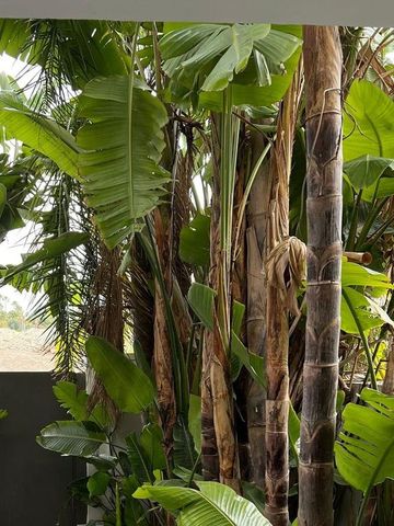 Luxury Semidetached House for rent in Nueva Andalucia, Spain - Photo 2