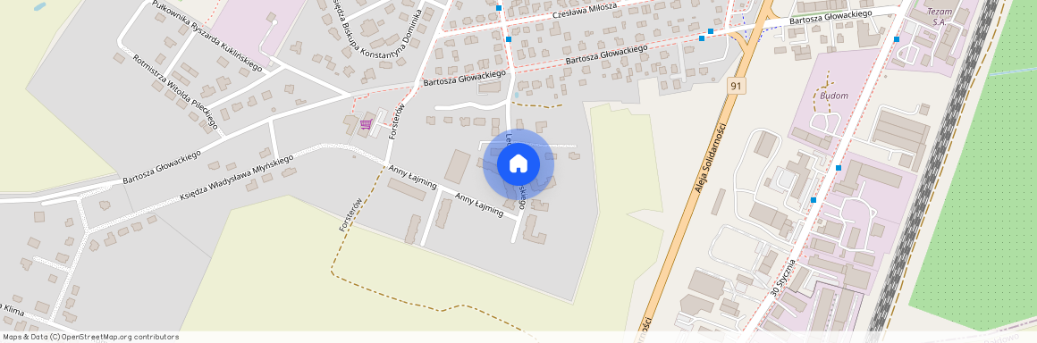 ul. Lecha Bądkowskiego, Tczew, tczewski, pomorskie