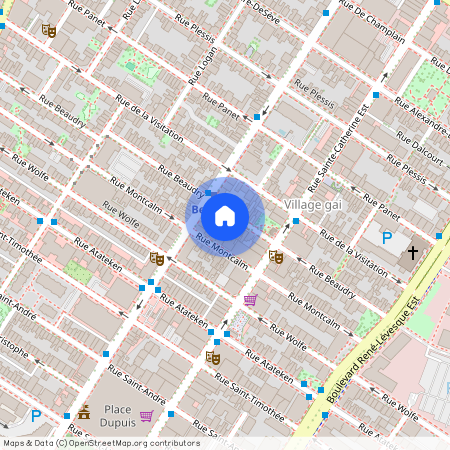 1448, Rue Beaudry, 302, Montréal (Ville-Marie)