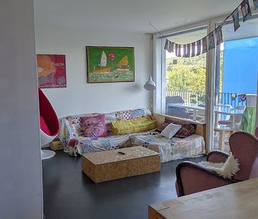 Für Katzenliebhaber in Zürich - Kreis 6, möbliert, auf Zeit - Photo 2