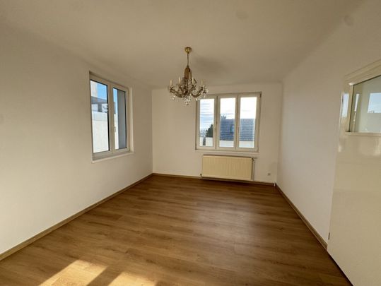 Haus am Schafberg mit viel Platz und Garten - Photo 1