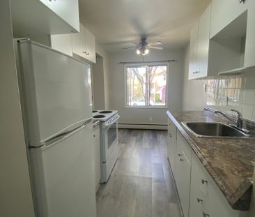 Princeton Manor - Photo 6