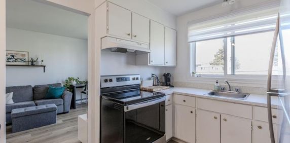 Appartement 4 ½ à louer Lévis novembre 2025 - Photo 2