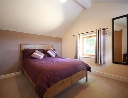 1 Bedroom Detached To Let - Photo 5
