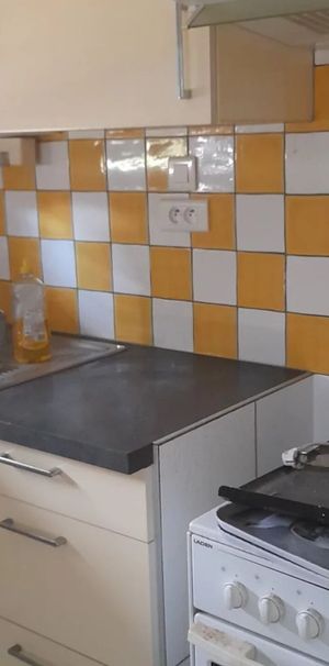 Location Appartement 1 pièces 27 m2 à Saint-Sébastien-sur-Loire - Photo 1