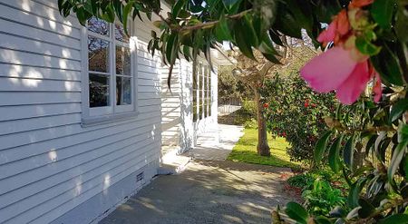 Prime Location - Photo 5