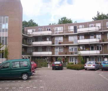 Appartement Ravelijn 11, Terneuzen - À louer - Photo 1
