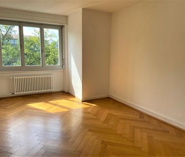 Bord de l'Arve - Foto 2