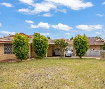 4 Bedroom 2 Bathroom House in Alexander Heights - Photo 4