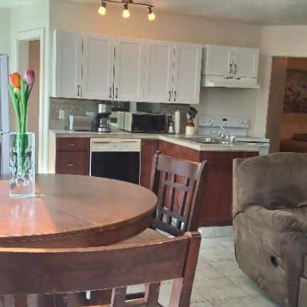 Appartement 4 1/2 MEUBLE St Ferreol les Neiges à louer - Photo 3