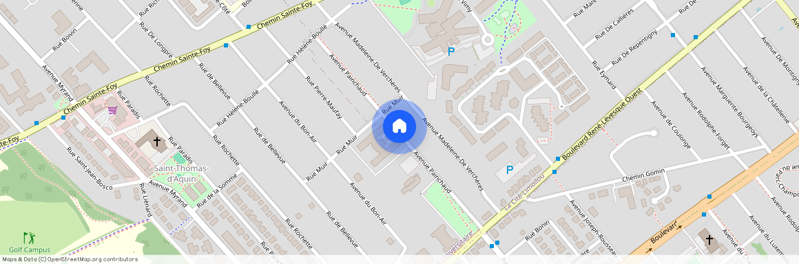 Avenue Painchaud, Québec, Québec, Capitale-Nationale, G1V 2R5