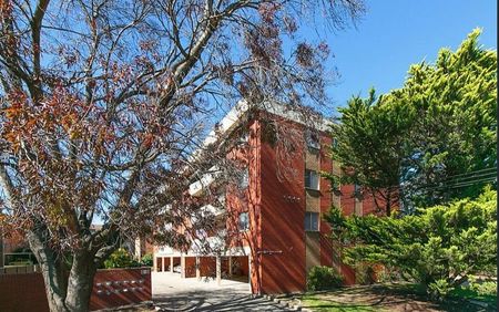 Cozy 2-Bedroom Unit in a Convenient Location - Photo 2