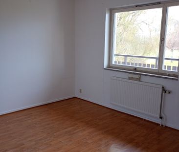 Ekbacken, Asarum - Foto 6