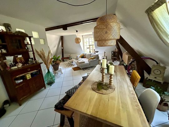 Location Appartement 3 pièces 89m² ROPPENTZWILLER 68480 - Photo 1