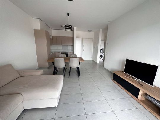 Luminous and fully furnished 2.5-room apartment with large terrace - Photo 1