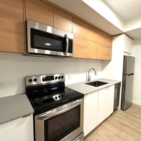 Brand New 1 Bed, 1 Bath Ground Level Suite -TP473 University Heights - Photo 1