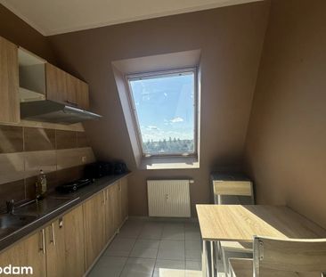 Radosna, Zalasewo - Photo 3