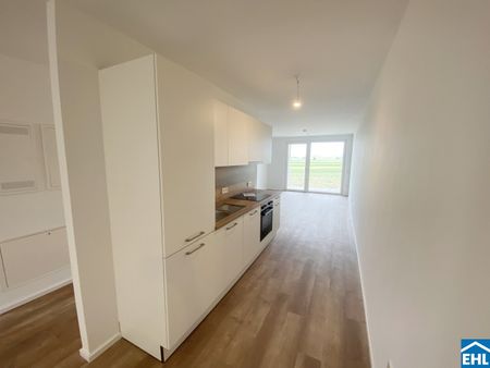 Moderne Mietwohnungen in der Natur: Ihr neues Zuhause im Tullnerfeld - Foto 4