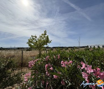 Location Appartement 1 pièce 32m² NARBONNE 11100 - Photo 4