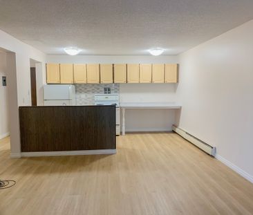 1 Bed Condo In West Jasper Place | Utilities Included | Walk To Jas... - Photo 3