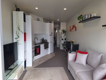 Prime Ponsonby Location - Photo 4