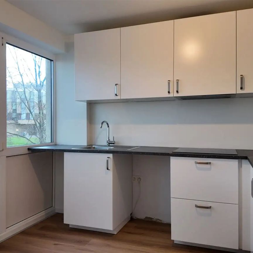 Gerenoveerd appartement in centrum met ruim terras - Photo 1