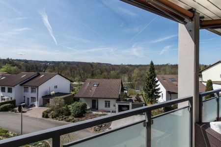 Dream home on the Reuss River - Foto 4