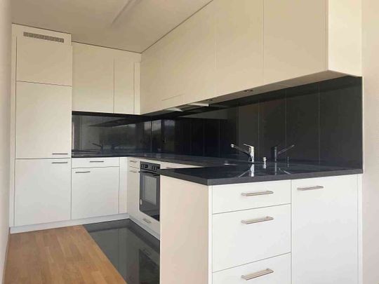 4.5 Zimmer, 85 m², 8. Stock - Photo 1