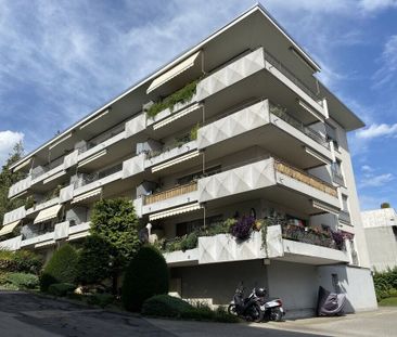 À saisir ! Appartement de charme dans les hauts de Vevey ! - Photo 5