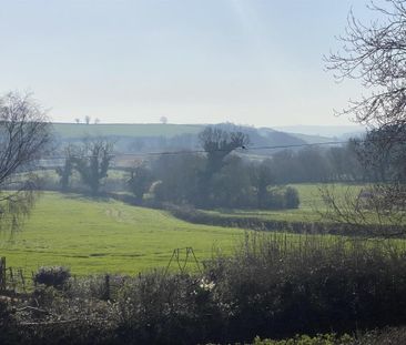 Black Post Lane, Berry Pomeroy, Totnes - Photo 5