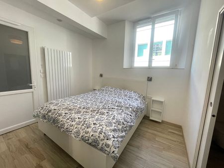 JOINVILLE : APPARTEMENT 5 PIECES MEUBLE 130 M2 - Photo 5