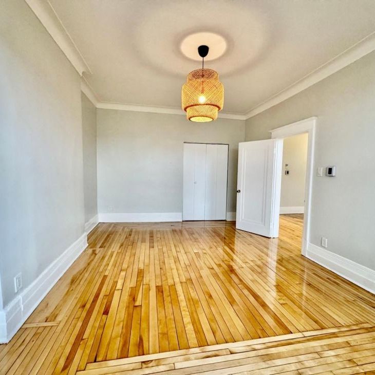 Appartement à louer - Montréal (Le Plateau-Mont-Royal) (Le Plateau-Mont-Royal) - Photo 1