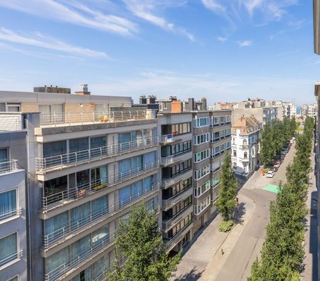 Lichtrijk appartement met 2 slpk op fantastische ligging - Photo 3
