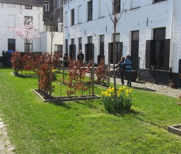 Huis te huur - Photo 4