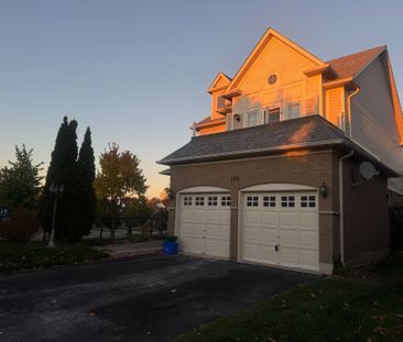 For Lease - 198 willowbrook Drive Unit# Basement, Whitby, Ontario - Photo 5