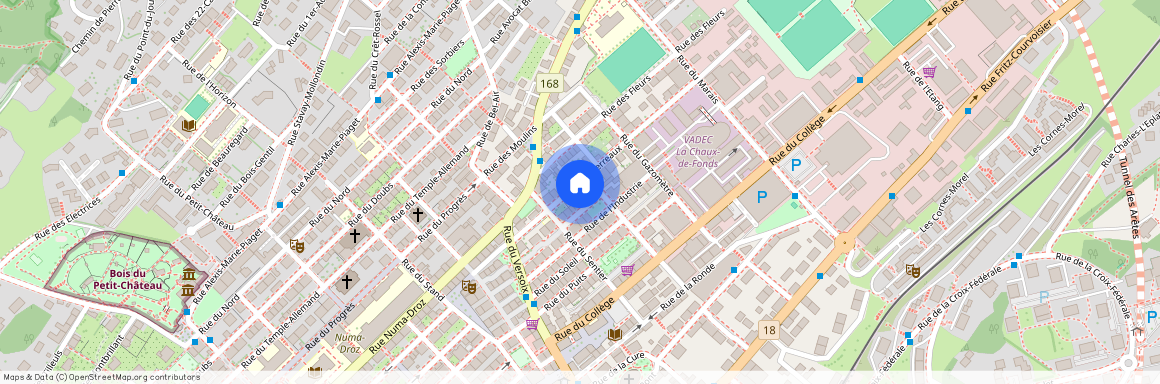 2300, La Chaux-de-Fonds, Terreaux, 18